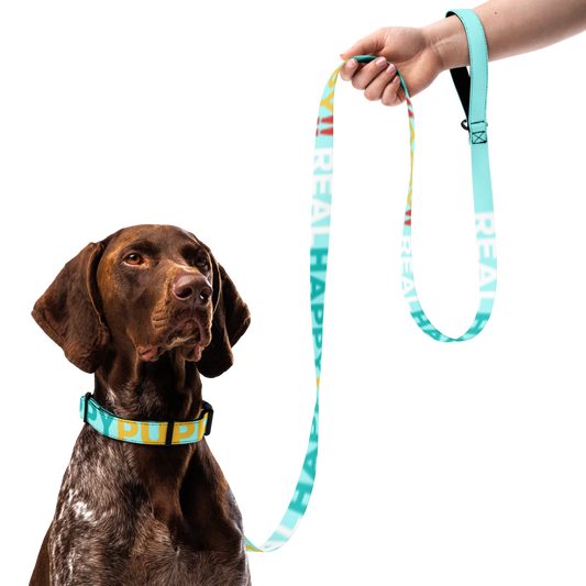 "Happy Puppy" Pet collar & leash